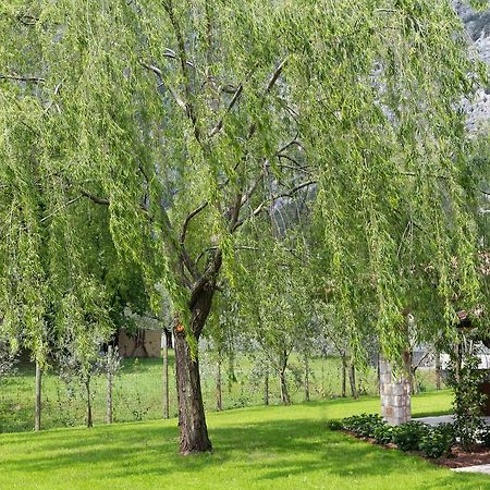 B&B Ai Colli Dro Zewnętrze zdjęcie