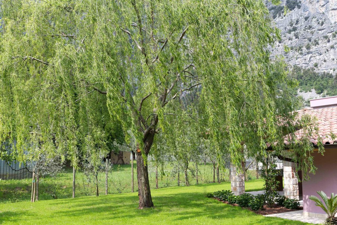 B&B Ai Colli Dro Zewnętrze zdjęcie